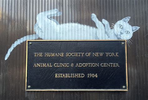 Humane society of new york. Things To Know About Humane society of new york. 